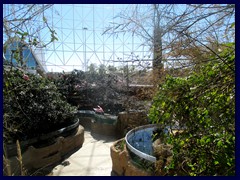 L'Oceanogràfic Oceanarium 079 - the aviary